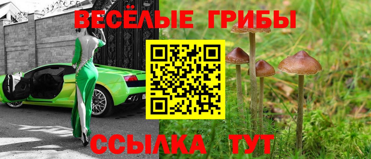 Галлюциногенные грибы ЛСД Вышний Волочёк