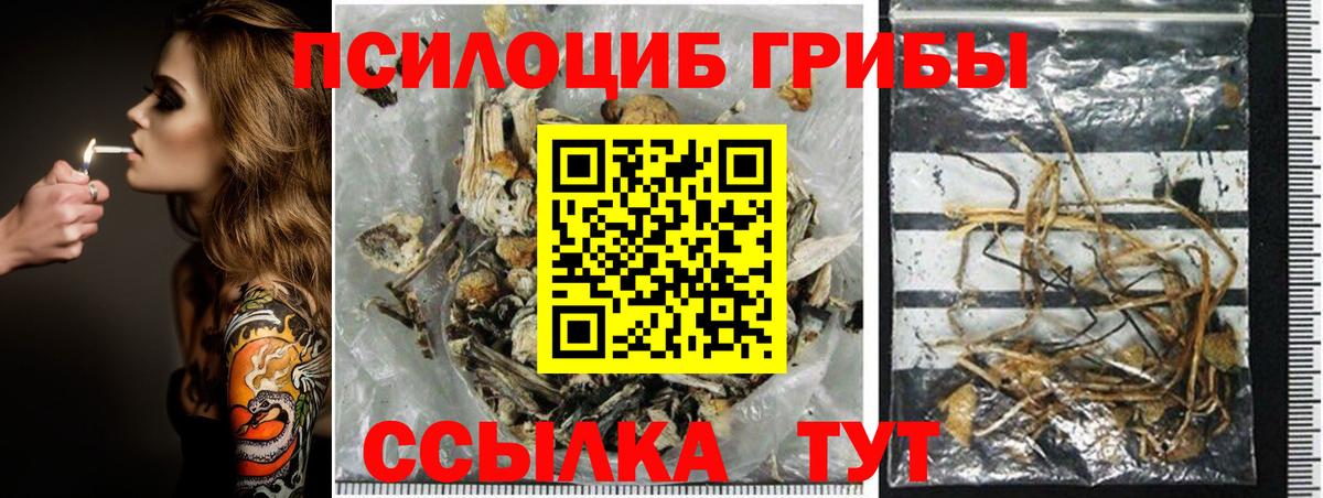 Вышний Волочёк  Галлюциногенные грибы прущие грибы  Вход с VPN 